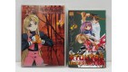Tokyo Underground - Volume 2 - Edition Book Cofret 1 DVD + 1 MANGA R92