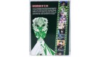 Tokyo Underground - Volume 4 - Edition Book Cofret 1 DVD + 1 MANGA R94