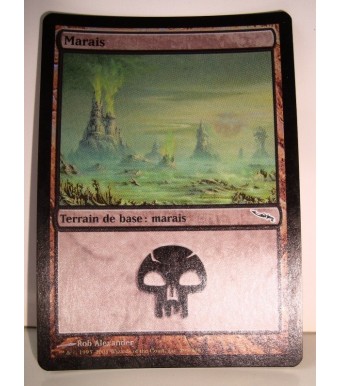  CARTE MTG MAGIC - VERSION FRANCAISE MARAIS