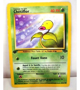 Carte Pokémon Diamant et Perle Duels Au Sommet 72/106 Rondoudou 60 pv