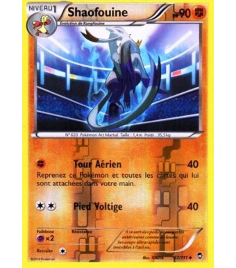 Carte Pokémon XY Poings Furieux 57 111 Shaofouine pv 90