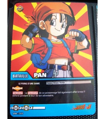 CARTE DRAGON BALL Z - PAN - DB-348