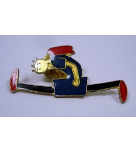 PIN'S PINS GRAND ECART