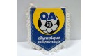 WIMPEL Pennant Fanion football - OLYMPIQUE AVIGNONNAIS