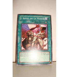carte yu-gi-oh - l'appel de la momie - sdzw-fr024 - commune