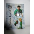 football Carte cards premium panini 1995 n°29 christophe deguerville saint etie 