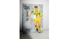 football Carte cards premium panini 1995 n°28 eric decroix fc nantes 
