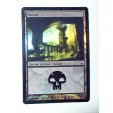 CARTE MTG MAGIC FOIL - VERSION FRANCAISE MARAIS 
