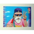 CARTE DRAGON BALL GT SERIE 2 N° 11 