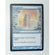 CARTE MTG MAGIC - VERSION FRANCAISE GEL PRECOCE  