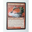 TRES RARE CARTE MTG MAGIC - VERSION FRANCAISE GOBELIN AU FOUET DE MEDUSE