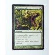 CARTE MTG MAGIC - VERSION FRANCAISE PULSION AGRESSIVE 