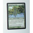 CARTE MTG MAGIC - VERSION FRANCAISE EXPLORATEUR SYLVOK