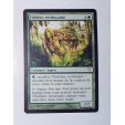 RARE CARTE MTG MAGIC - VERSION FRANCAISE EIDOLON VERDOYANTE
