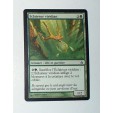 CARTE MTG MAGIC - VERSION FRANCAISE ECLAIREUR VIRIDIAN