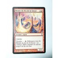 CARTE MTG MAGIC - VERSION FRANCAISE SHINEN DU FEU DE LA FUREUR