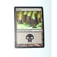 CARTE MTG MAGIC - VERSION FRANCAISE MARAIS 1