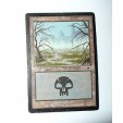 CARTE MTG MAGIC - VERSION FRANCAISE MARAIS 7