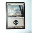CARTE MTG MAGIC - VERSION FRANCAISE MARAIS 11