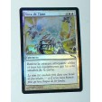 CARTE MTG MAGIC FOIL - VERSION FRANCAISE NOVA DE L'AME  
