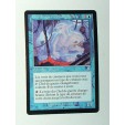 CARTE MTG MAGIC - VERSION FRANCAISE CHEF DE GUERRE CHANGEBRUME