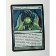 CARTE MTG MAGIC - VERSION FRANCAISE CHARME D'EVOLUTION  