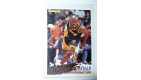 CARTE  NBA BASKET BALL 1995  PLAYER CARDS HAYWOODE WORKMAN (101)