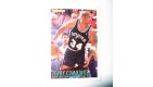 CARTE  NBA BASKET BALL 1995  PLAYER CARDS TERRY CUMMINGS (206)