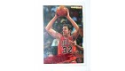 CARTE  NBA BASKET BALL 1995  PLAYER CARDS WILL PERDUE (262)