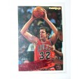 CARTE  NBA BASKET BALL 1995  PLAYER CARDS WILL PERDUE (262)