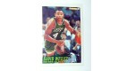 CARTE  NBA BASKET BALL 1995  PLAYER CARDS DAVID WESLEY (251)