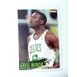 CARTE  NBA BASKET BALL 1995  PLAYER CARDS GREG MINOR (248)