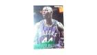 CARTE  NBA BASKET BALL 1995  PLAYER CARDS LORENZO WILLIAMS (271)