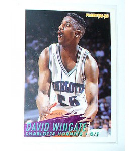 CARTE  NBA BASKET BALL 1995  PLAYER CARDS DAVID WINGATE (29)