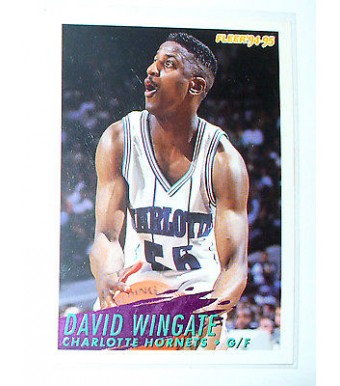 CARTE  NBA BASKET BALL 1995  PLAYER CARDS DAVID WINGATE (29)