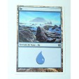 ILE  TERRAIN DE BASE ILE N°23 - VF CARTE MTG MAGIC