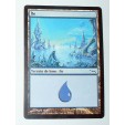 ILE  TERRAIN DE BASE ILE N°29 - VF CARTE MTG MAGIC