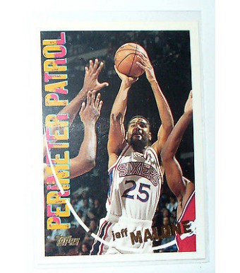 CARTE NBA BASKET BALL 1995 PLAYER CARDS JEFF MALONE (208)