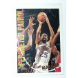 CARTE NBA BASKET BALL 1995 PLAYER CARDS JEFF MALONE (208)