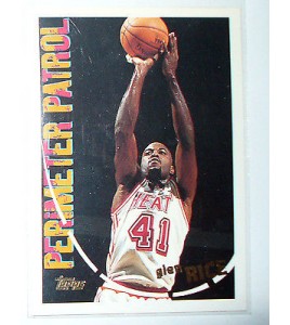 CARTE NBA BASKET BALL 1995 PLAYER CARDS GLEN RICE (207)