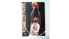CARTE NBA BASKET BALL 1995 PLAYER CARDS GLEN RICE (207)