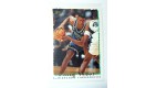 CARTE NBA BASKET BALL 1995 PLAYER CARDS DOUG WEST (214)