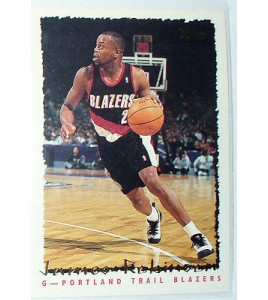 CARTE NBA BASKET BALL 1995 PLAYER CARDS JAMES ROBINSON (231)