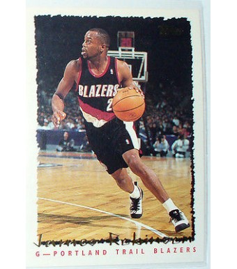 CARTE NBA BASKET BALL 1995 PLAYER CARDS JAMES ROBINSON (231)