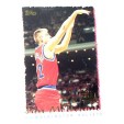 CARTE NBA BASKET BALL 1995 PLAYER CARDS JIM MCILVAINE (238)