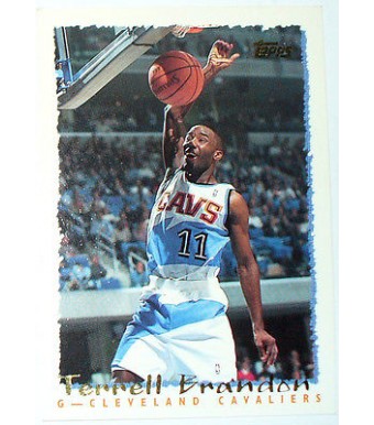 CARTE NBA BASKET BALL 1995 PLAYER CARDS TERRELL BRANDON (251)