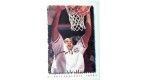 CARTE NBA BASKET BALL 1995 PLAYER CARDS SCOTT WILLIAMS (242)