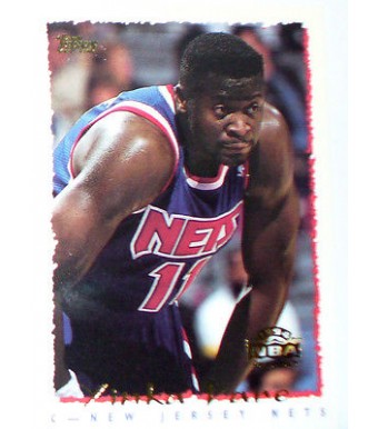 CARTE NBA BASKET BALL 1995 PLAYER CARDS YINKA DARE (253)