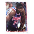 CARTE NBA BASKET BALL 1995 PLAYER CARDS YINKA DARE (253)