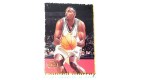 CARTE NBA BASKET BALL 1995 PLAYER CARDS LAMOND MURRAY (262)